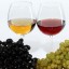 白ワインと赤ワインの違いとは？